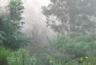 Lilyvale QLDlandscaping-irrigation-4.jpg; ?>