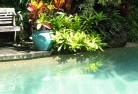 Lilyvale QLDswimming-pool-landscaping-3.jpg; ?>